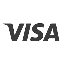 Visa pago seguro